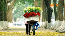 Những con đường sinh sôi