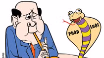 Phỏng vấn một con gà