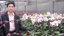 Nhà thơ, nhà báo Chu Minh Khôi: Cả một Hương Sơn rỗng lặng ở tâm mình