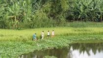 Thuận dòng