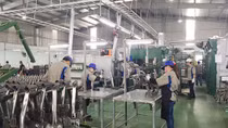 Công nghiệp ôtô Việt Nam nên học Thái Lan về nội địa hoá