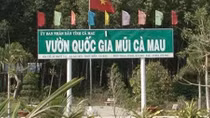 Vườn Quốc gia Mũi Cà Mau lập quỹ trái phép hàng tỉ đồng