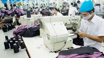 Chuẩn bị nguồn lực đón cơ hội từ CPTPP