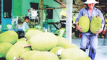 Tránh tình trạng mạnh ai nấy làm