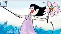 Phỏng vấn hoa anh đào