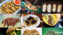 Thực phẩm sạch “chống đói” của tương lai