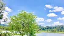  Ở rừng Nam Cát Tiên