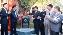 Thêm 5 cây cổ thụ được công nhận “cây di sản Việt Nam”