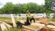 Rừng phòng hộ ở Vĩnh Linh tiếp tục bị chặt phá