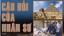 Câu hỏi của nhân sư