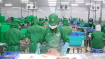 IDI dự kiến đạt lợi nhuận sau thuế 228 tỷ đồng và hoàn thành 130% kế hoạch