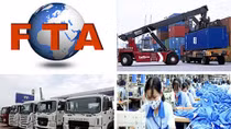 Thuế nhập khẩu giảm mạnh vì các FTA