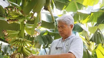  Nông dân nghìn tỷ
