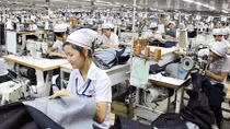 Lao động ngành may mặc lương không đủ sống