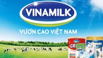 Xây dựng thương hiệu: Cần sự liên kết doanh nghiệp