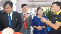 Bất an “cà phê pin” và hiến kế nhận biết cà phê thật