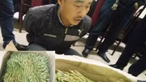 Buôn hàng thảo mộc kèm thêm thùng quả anh túc