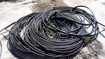 Giả nhân viên viễn thông cắt trộm hàng trăm mét dây cáp điện thoại