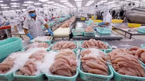Cả nước đạt hơn 6 tỷ USD từ xuất khẩu nông, lâm và thủy sản