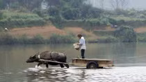 Người dân Bình Quang ước mơ một cây cầu