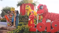 Đường hoa 10 tỷ tại Đồng Nai chính thức đón khách tham quan