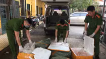 Bắt vụ vận chuyển 350kg sản phẩm động vật bốc mùi hôi thối