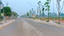  Tình Tứ Xã