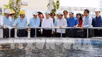 Kiểm tra hoạt động khai thác, kinh doanh hải sản tại Hà Tĩnh