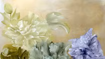 Giữa hai chiều thế giới