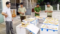 Hơn nửa tấn bánh trung thu vô chủ ở gần biên giới