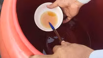 Ngang làng nước mắm, thăm người bạn xưa