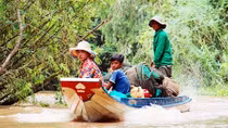 Mùa nước nổi ở miền Tây: Nước lên nhanh… nhưng cá chưa về (!)