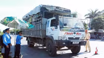 Xử lý gần 30.000 xe vi phạm tải trọng trong 6 tháng