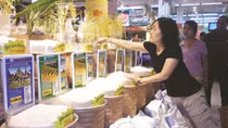 Nỗi buồn gạo Việt