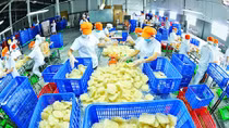  Khi Công đoàn Việt Nam vẫn còn "ngại" đấu tranh