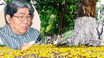 GS-NGND Hà Minh Đức: Đi qua những tháng 5