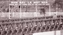Nghĩa tình một cội