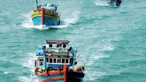 Hướng dẫn tàu đánh cá của ngư dân Bình Định, Phú Yên phòng tránh bão Sanba