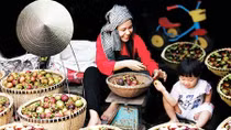 Đổi thay trên vùng đất trái cây nổi tiếng