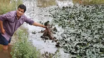 Lan tỏa phong trào nông dân làm giàu trong sản xuất nông nghiệp