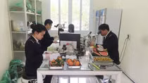 Kiểm soát chặt chất lượng nông sản nhập khẩu ở Tân Thanh