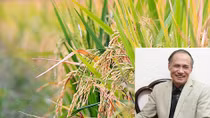 Nhạc sĩ của “Làng lúa làng hoa”