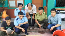 Chung tay bảo vệ các loài động vật hoang dã