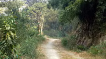 Đi nhiều sẽ thành đường