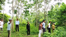 Cần sớm giải quyết việc tranh chấp đất giữa người dân và doanh nghiệp
