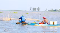 Bài cuối: Nguồn lợi thủy sản đang dần cạn
