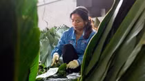 Làng bánh chưng Tranh Khúc những ngày cận Tết cổ truyền