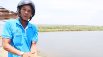 Tôm nuôi lại chết tràn lan, nhiều hộ dân đổ nợ