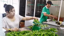 Nhà nông thuê cơ quan quản lý giám sát sản phẩm