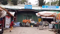Phản hồi bài báo “Chợ đêm Đà Lạt bị biến thành điểm dựng lều trại”